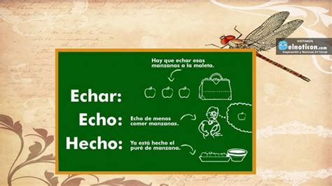 hechaste o echaste|Echaste 